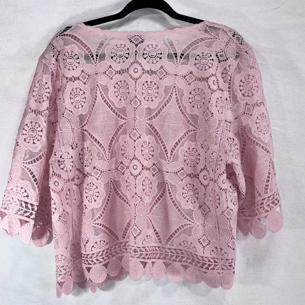 Rabbit Rabbit Rabbit Delicate Pink Lace Blouse - Picture 9 of 15